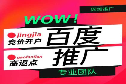 成功案例揭秘：百度SEO推广公司如何助力企业品牌建设